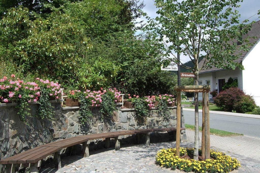 Haus Mittelberg Apartment Olsberg Bagian luar foto