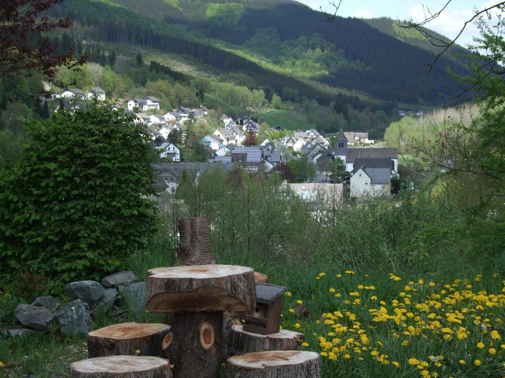 Haus Mittelberg Apartment Olsberg Ruang foto