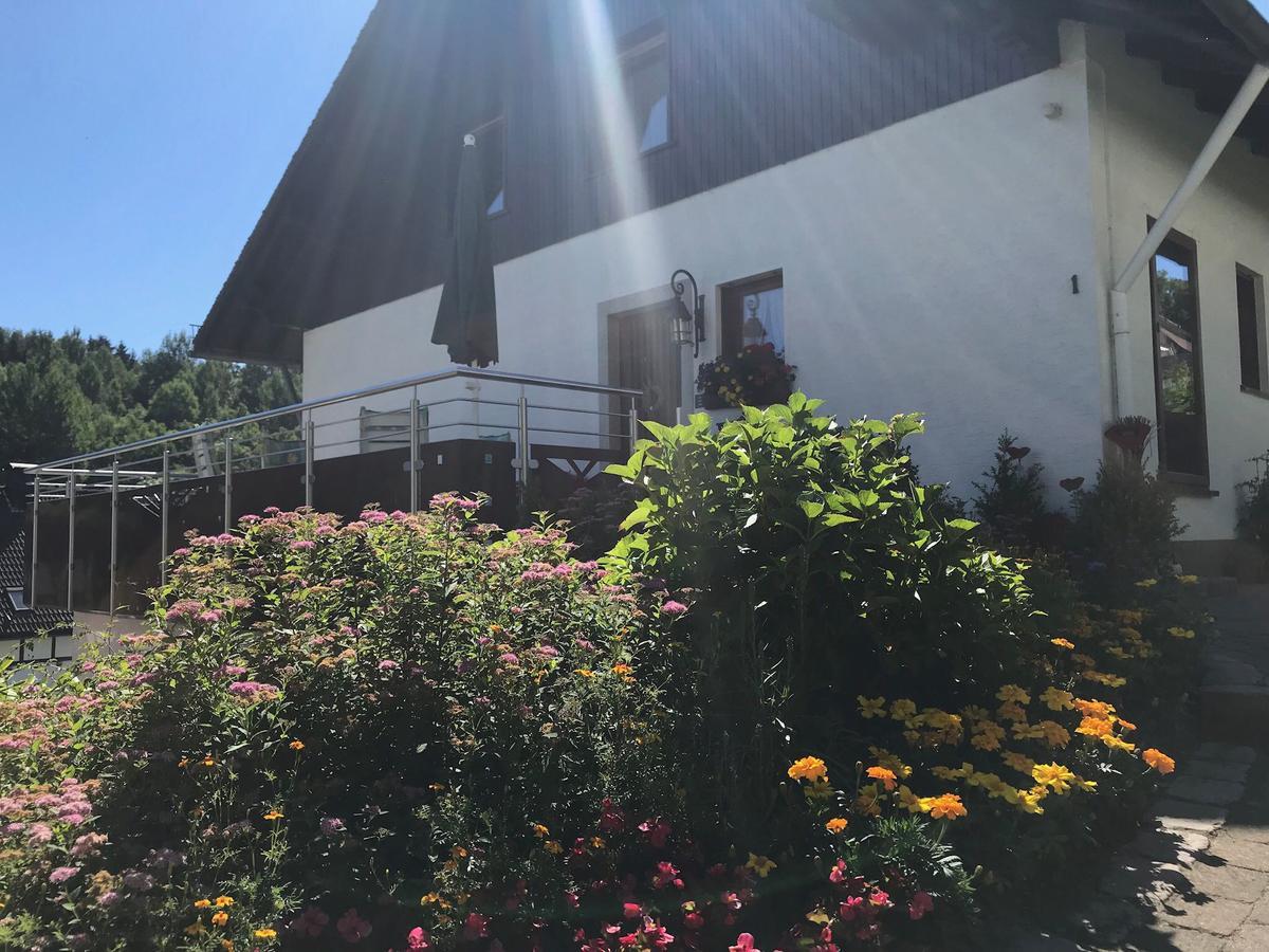 Haus Mittelberg Apartment Olsberg Bagian luar foto